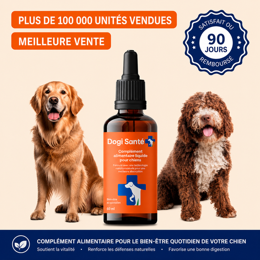 Dogi Santé-serum canin pour les articulations
