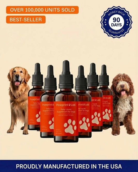 Dogi Santé-serum canin pour les articulations